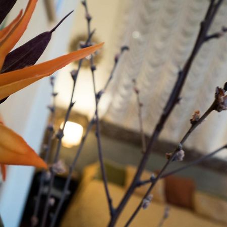 베니스 카델라 코르테 B&B 외부 사진
